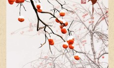 大雪 | 盛雪如院以藏，草木素裹风华