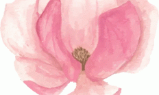 铿锵玫瑰勇担当 价值创造绽芳华——致集团全体女职工慰问信