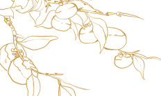 德勤中国的合伙人简思华荣获上海市白玉兰荣誉奖