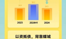 一图读懂｜万物云2024年度业绩