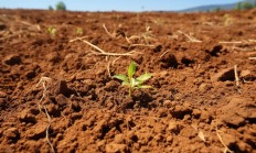 应用案例 | 解锁土壤“密码”：水溶性盐分析助力农业可持续发展