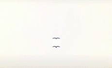 “樱”你而美，定格春光 | 昆明城市学院樱花摄影大赛火热开启！