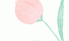 “和”力谱写 “时”代华芳——致敬和利时巾帼风采，绽放她力量