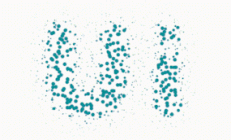 知己守岁人：我在，陪你过好年