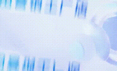 国内行程收官在即，24日中亚之旅精彩继续！