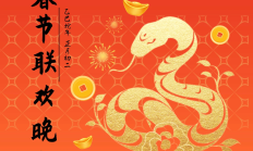 火出圈！昆明传媒学院星辰艺术团闪耀英国，利物浦大学春晚演绎中华风采