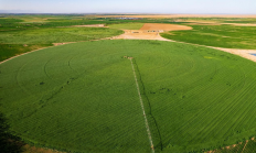 现代牧业宣布战略性收购中国圣牧，旨在打造规模与品质并重的牧业集团