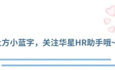 T宝壁纸，等你来挑！