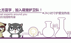 蛇舞丰年景，宠爱不打烊！春节营业时间调整通知来咯～