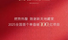 上海壹号院再现开盘“日光”，年度销售破百亿领跑高端市场