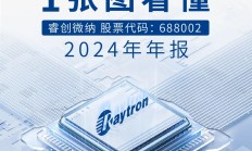 一张图看懂睿创微纳2024年年报
