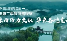 京东X联通数智智慧足迹二季度消费观察：华东地区的“流量密码”
