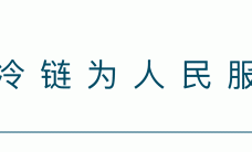 中通冷链|西北物流时效展新颜