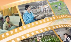 大北农集团致敬全体坚守岗位的奋斗者