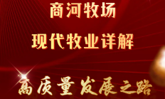 投资者调研商河牧场，现代牧业详解高质量发展之路