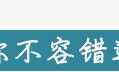 977.72亿！中国铁塔公布