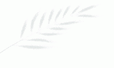 邀请函 | in-cosmetics Latin America 2024